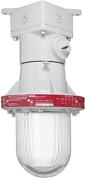 RAB EX12T 300W Explosionproof Ceiling Fixture, 8 Hub Count, 1/2" H Hub Size, Silver Gray Finish