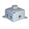 RAB EXJ Junction Box 8 Hubs 1/2" Blank Cover, Compatible with Explosionproof Fixture