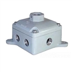 RAB EXJ Junction Box 8 Hubs 1/2" Blank Cover, Compatible with Explosionproof Fixture