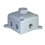 RAB EXJ1 Junction Box 8 Hubs 1/2" Cover 1/2" Hub, Compatible with Explosionproof Fixture