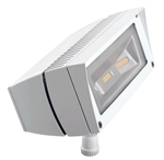 RAB FFLED18NW Floodlight 22W LED Lamp, 4000K Neutral White Finish