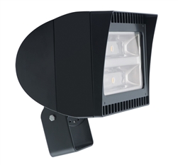 RAB FXLED125T/480 125W Trunnion Mount LED Floodlight, 5000K (Cool), 480V, No Photocell, Standard Operation, Bronze Finish