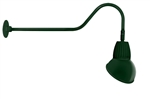 RAB GN2LED13NAD11G 13W LED Gooseneck Dome Shade with 35" Goose Arm, 4000K (Neutral), Flood Reflector, 11" Angled Dome Shade, Hunter Green Finish