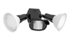 RAB GT500R/L Gotcha Motion Sensor and Two CCT-Selectable PAR38s Light Kit, Black