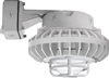 RAB HAZBLED26C-DG 26W Wall Mount LED Hazardous Location Fixture, 5100K (Cool), 2035 Lumens, 70 CRI, Clear Globes, Die Cast Guard, Natural Finish