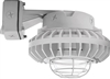 RAB HAZBLED26C-G 26W Wall Mount LED Hazardous Location Fixture, 5100K (Cool), 2521 Lumens, 70 CRI, Clear Globes, Wire Guard, Natural Finish