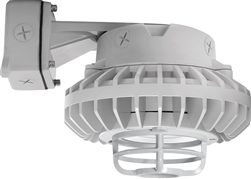 RAB HAZBLED26CF-DG 26W Wall Mount LED Hazardous Location Fixture, 5100K (Cool), 2881 Lumens, 69 CRI, Clear Lens, Die Cast Guard, Natural Finish