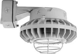 RAB HAZBLED26CF-G 26W Wall Mount LED Hazardous Location Fixture, 5100K (Cool), 2881 Lumens, 69 CRI, Clear Lens, Wire Guard, Natural Finish