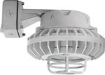 RAB HAZBLED26FF-DG 26W Wall Mount LED Hazardous Location Fixture, 5100K (Cool), 2249 Lumens, 69 CRI, Frosted Lens, Die Cast Guard, Natural Finish