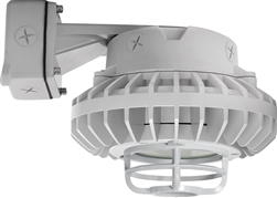 RAB HAZBLED26FF-DG 26W Wall Mount LED Hazardous Location Fixture, 5100K (Cool), 2249 Lumens, 69 CRI, Frosted Lens, Die Cast Guard, Natural Finish
