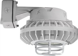 RAB HAZBLED42FF-DG 42W Wall Mount LED Hazardous Location Fixture, 5100K (Cool), 2986 Lumens, 69 CRI, Frosted Lens, Die Cast Guard, Natural Finish