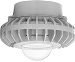 RAB HAZPLED26C 26W Pendant Mount LED Hazardous Location Fixture, 5100K (Cool), 2878 Lumens, 70 CRI, Clear Globes, No Guard, Natural Finish