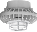 RAB HAZPLED26C-DG 26W Pendant Mount LED Hazardous Location Fixture, 5100K (Cool), 2035 Lumens, 70 CRI, Clear Globes, Die Cast Guard, Natural Finish