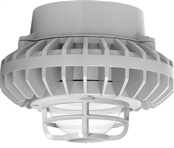 RAB HAZPLED26C-DG 26W Pendant Mount LED Hazardous Location Fixture, 5100K (Cool), 2035 Lumens, 70 CRI, Clear Globes, Die Cast Guard, Natural Finish