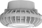 RAB HAZPLED26CF 26W Pendant Mount LED Hazardous Location Fixture, 5100K (Cool), 2881 Lumens, 69 CRI, Clear Lens, No Guard, Natural Finish