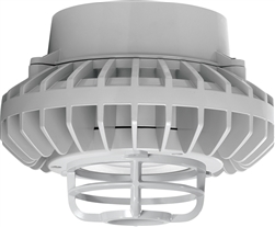 RAB HAZPLED26CF-DG 26W Pendant Mount LED Hazardous Location Fixture, 5100K (Cool), 2881 Lumens, 69 CRI, Clear Lens, Die Cast Guard, Natural Finish