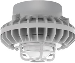 RAB HAZPLED26F-DG 26W Pendant Mount LED Hazardous Location Fixture, 5100K (Cool), 1916 Lumens, 70 CRI, Frosted Globes, Die Cast Guard, Natural Finish