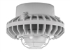 RAB HAZPLED26F-G 26W Pendant Mount LED Hazardous Location Fixture, 5100K (Cool), 2334 Lumens, 70 CRI, Frosted Globes, Wire Guard, Natural Finish