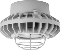 RAB HAZPLED26FF-G 26W Pendant Mount LED Hazardous Location Fixture, 5100K (Cool), 2249 Lumens, 69 CRI, Frosted Lens, Wire Guard, Natural Finish