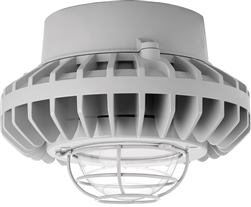 RAB HAZPLED42C-G 42W Pendant Mount LED Hazardous Location Fixture, 5100K (Cool), 3316 Lumens, 70 CRI, Clear Globes, Wire Guard, Natural Finish