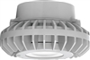 RAB HAZPLED42CF 42W Pendant Mount LED Hazardous Location Fixture, 5100K (Cool), 3816 Lumens, 69 CRI, Clear Lens, No Guard, Natural Finish