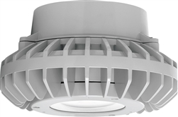 RAB HAZPLED42CF 42W Pendant Mount LED Hazardous Location Fixture, 5100K (Cool), 3816 Lumens, 69 CRI, Clear Lens, No Guard, Natural Finish