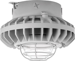 RAB HAZXLED42C-G 42W Ceiling Mount LED Hazardous Location Fixture, 5100K (Cool), 3316 Lumen, 70 CRI, Clear Globes, Wire Guard,  DLC Listed, Natural Finish