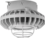 RAB HAZXLED42FF-G 42W Ceiling Mount LED Hazardous Location Fixture, 5100K (Cool), 2986 Lumen, 69 CRI, Frosted Lens, Wire Guard,  DLC Listed, Natural Finish
