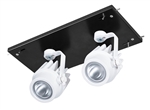 RAB MDLED2X12F-30YN-B-W 24W LED 2 Fixture Multi-Head Gear Tray, 3500K, 3154 Lumens, 90 CRI, 30 Degree Reflector, On/Off Non-Dimming, Black Tray/White Head Finish