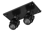 RAB MDLED2X12L-20YN-B 24W LED 2 Fixture Multi-Head Gear Tray, 3500K, 2072 Lumens, 90 CRI, 20 Degree Reflector, Lutron Dimmer, Black Tray/Black Head Finish