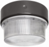 RAB VAN11S50 Vandalproof 11" Round Fixture 50W High Pressure Sodium Lamp 120V Bronze Color