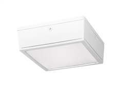 RAB VANLED20FW 20W LED Canopy Light, 5000K (Cool), 2347 Lumens, 74 CRI, 120V-277V, Flat Lens, Standard Operation, DLC Listed, White Finish