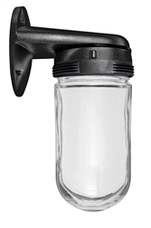 RAB VBR100B Vaporproof 150W Incandescent Lamp 120V Black Color - Clear Glass Globe, No Guard