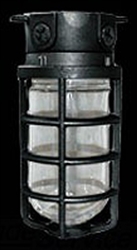 RAB VLX100DGB Vaporproof 100W Incandescent Lamp 120V Black Color - With Soda Lime Glass and Die Cast Guard