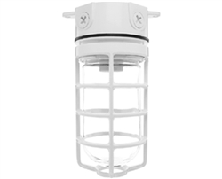 RAB VLX100DGW Vaporproof 100W Incandescent Lamp 120V White Color - With Soda Lime Glass and Die Cast Guard