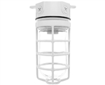 RAB VLX100DGW/F13 Vaporproof 13W Compact Fluorescent (CFL) Lamp 120V White Color - With Soda Lime Glass and Die Cast Guard