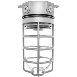 RAB VLX200DG/F22 Vaporproof 22W Compact Fluorescent (CFL) Lamp 120V Natural Color - With Clear Soda Lime Glass and Die Cast Guard