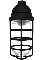 RAB VP200DGB-3/4 Vaporproof 200W Incandescent Lamp 120V Black Color - With Soda Lime Glass and Die Cast Guard