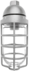 RAB VP200DGS Vaporproof 200W Incandescent Lamp 120V Silver Color - With Soda Lime Glass and Die Cast Guard
