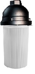 RAB VP200PW-B Vaporproof 100W Incandescent Lamp 120V Black Color - With White Flat Bottom Prismatic Polycarbonate Globe, No Guard