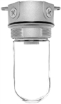 RAB VX100-3/4 Vaporproof 150W Incandescent Lamp 120V Natural Color - With Soda Lime Glass, No Guard