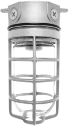 RAB VX100DG/F13-3/4 Vaporproof 13W Compact Fluorescent (CFL) Lamp 120V Natural Color - With Soda Lime Glass and Die Cast Guard