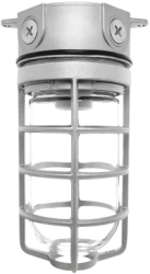 RAB VX100DGS Vaporproof 150W Incandescent Lamp 120V Silver Color - With Soda Lime Glass and Die Cast Guard