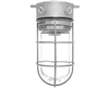RAB VX100GS Vaporproof 150W Incandescent Lamp 120V Silver Color - With Soda Lime Glass and Wire Clamp Guard