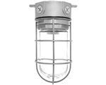 RAB VX100GS-3/4 Vaporproof 150W Incandescent Lamp 120V Silver Color - With Soda Lime Glass and Wire Clamp Guard