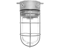 RAB VX100GS-3/4 Vaporproof 150W Incandescent Lamp 120V Silver Color - With Soda Lime Glass and Wire Clamp Guard