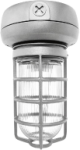 RAB VX1F26S-3/4 Vaporproof 26W Compact Fluorescent Lamp 120V-277V Silver Color - With Clear Prismatic Glass and Die Cast Guard