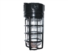 RAB VX200DGB-3/4 Vaporproof 300W Incandescent Lamp 120V Black Color - With Soda Lime Glass and Die Cast Guard
