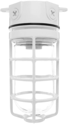 RAB VX200DGW Vaporproof 300W Incandescent Lamp 120V White Color - With Soda Lime Glass and Die Cast Guard