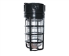 RAB VX200GB Vaporproof 300W Incandescent Lamp 120V Black Color - With Soda Lime Glass and Wire Clamp Guard